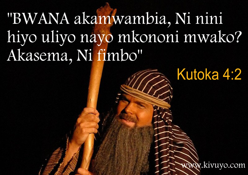 Ulicho Nacho Mkononi ni Mtaji Tosha wa Biashara