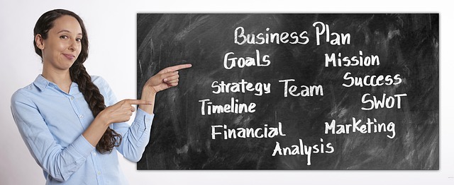 Business plan development