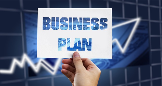 Standard Business Plan Outline and Development Guide