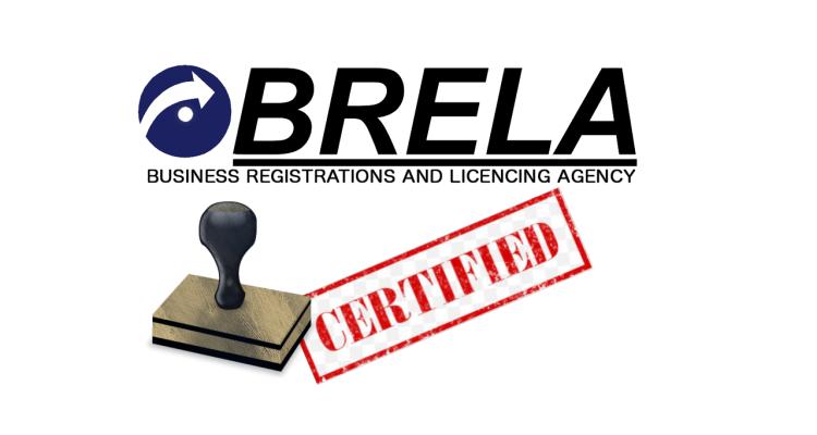 Ten (10) Easy Steps on How to Register Business name through BRELA Website